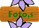 link_foto (3K)